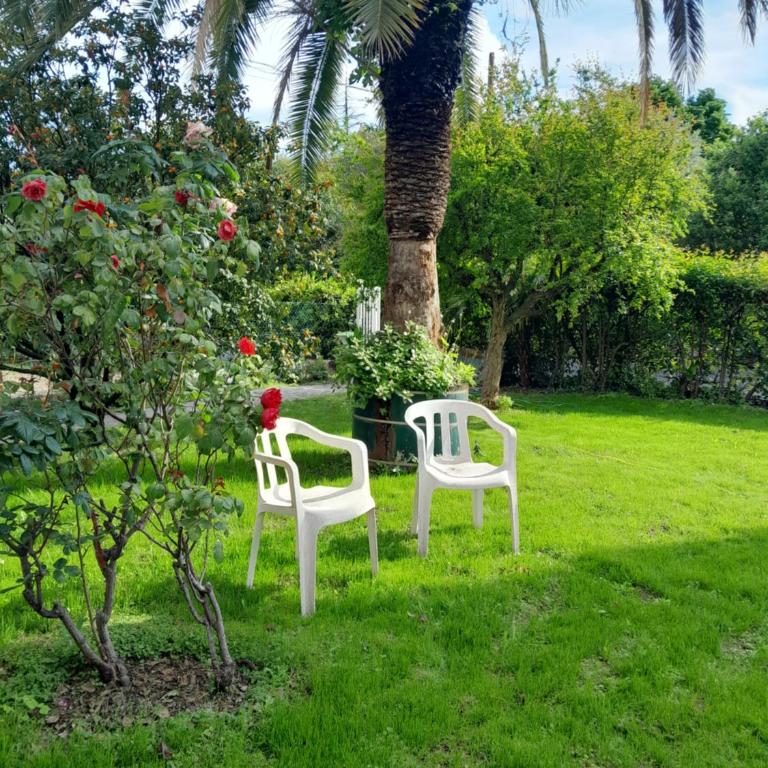 villetta le palme - Two-Bedroom House - 17