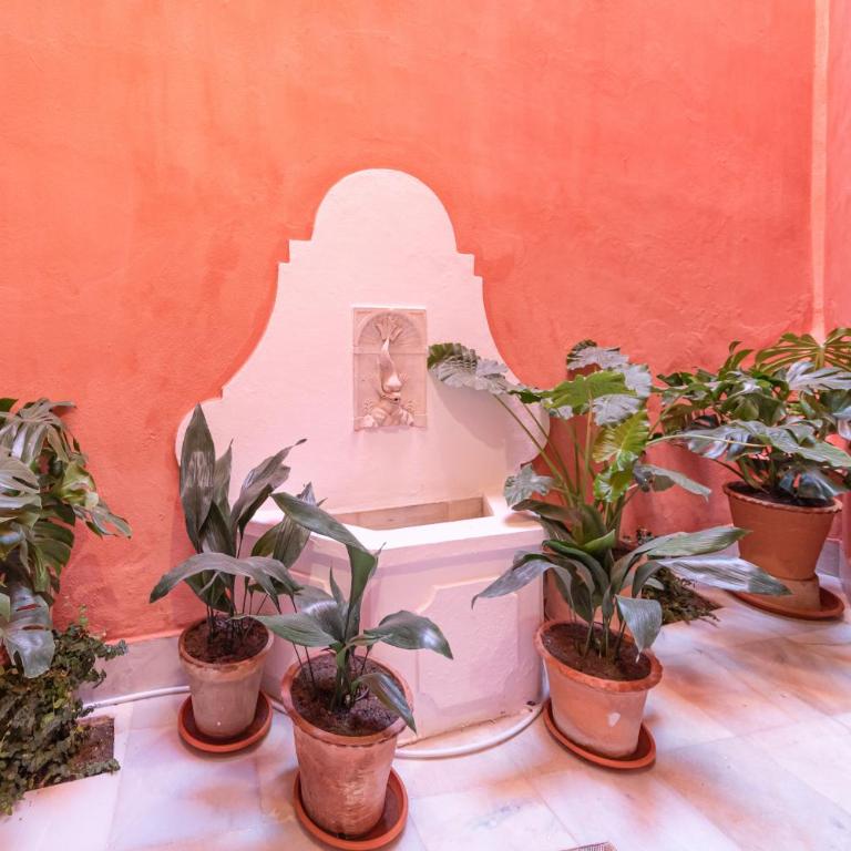 Ohliving Virgenes 7 - Casa de siete habitaciones con baño privado - 58