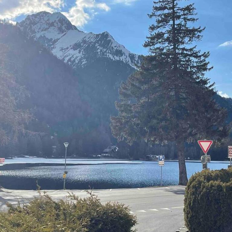 Charmant 2,5 pièces avec jardin à 2 pas du lac - One-Bedroom Apartment - 9