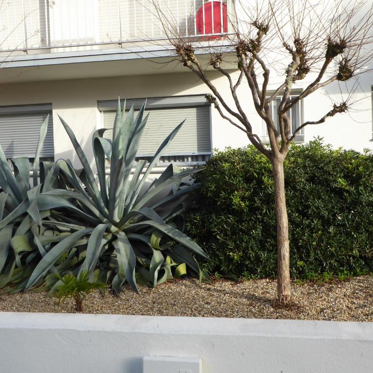 21 rue Thomas Illyriscus - Appartement - Rez-de-Chaussée - 15
