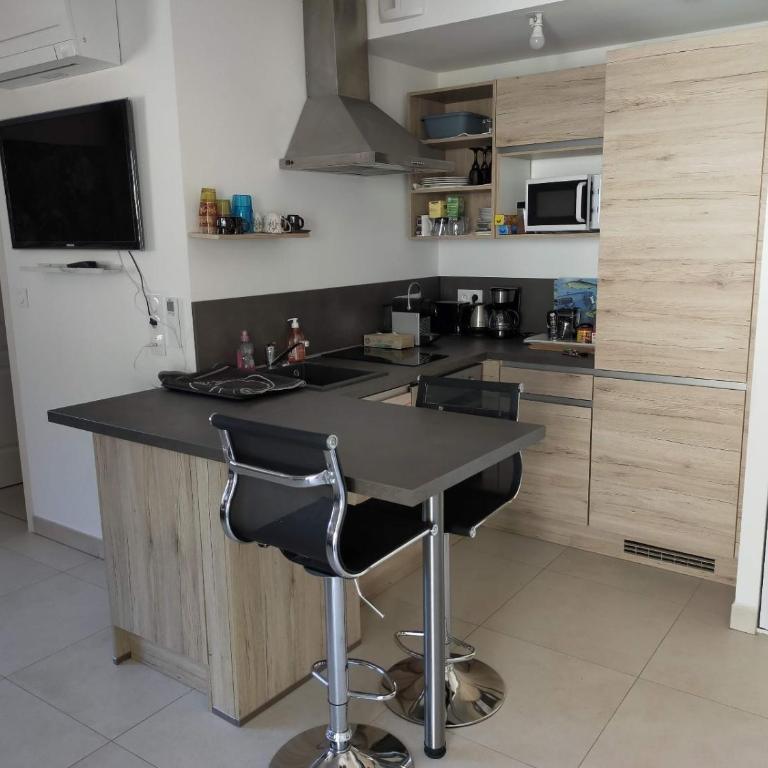 Sanguinaires - Appartement 1 Chambre - 2