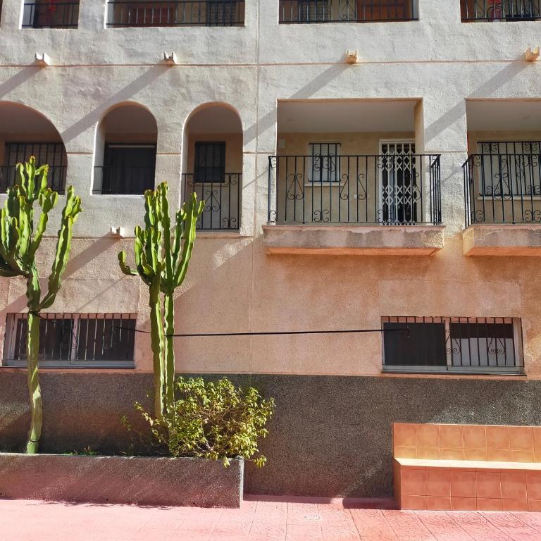 ACV - Rumbo III-1ª linea planta 2 norte - Apartamento de 2 dormitorios - 19