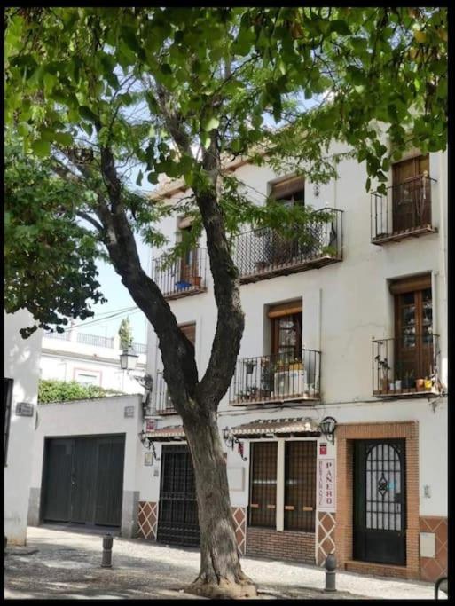 Apartamento Irene en Albaycin - Two-Bedroom Apartment - 18