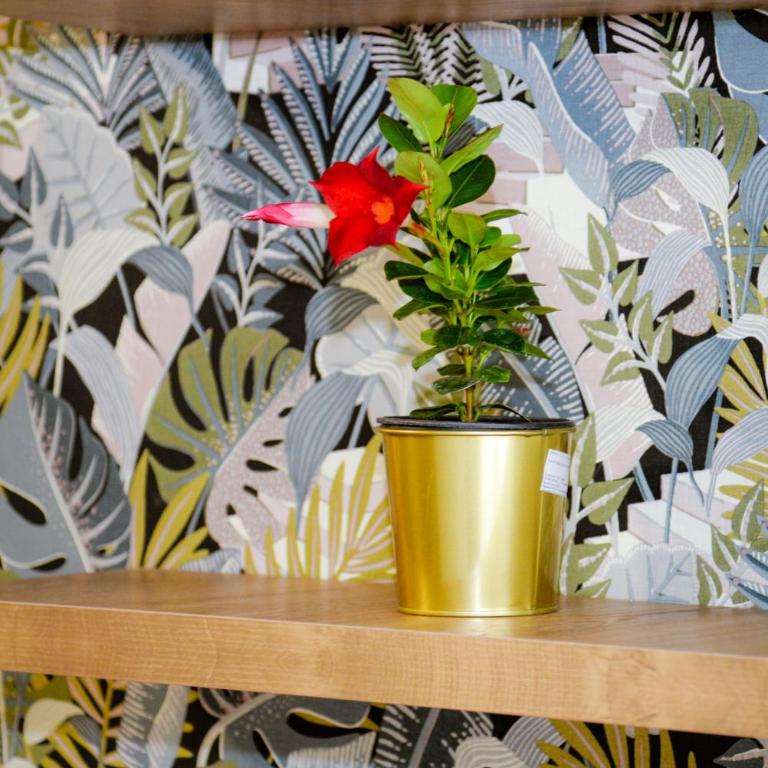 Green Home - Lamela 1 Tivat - One-Bedroom Apartment - 50