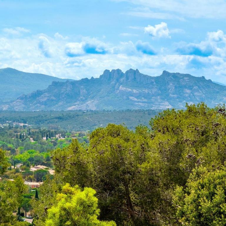 Pet Friendly Home In Roquebrune-Sur-Argens - Maison de Vacances 3 Chambres - 18