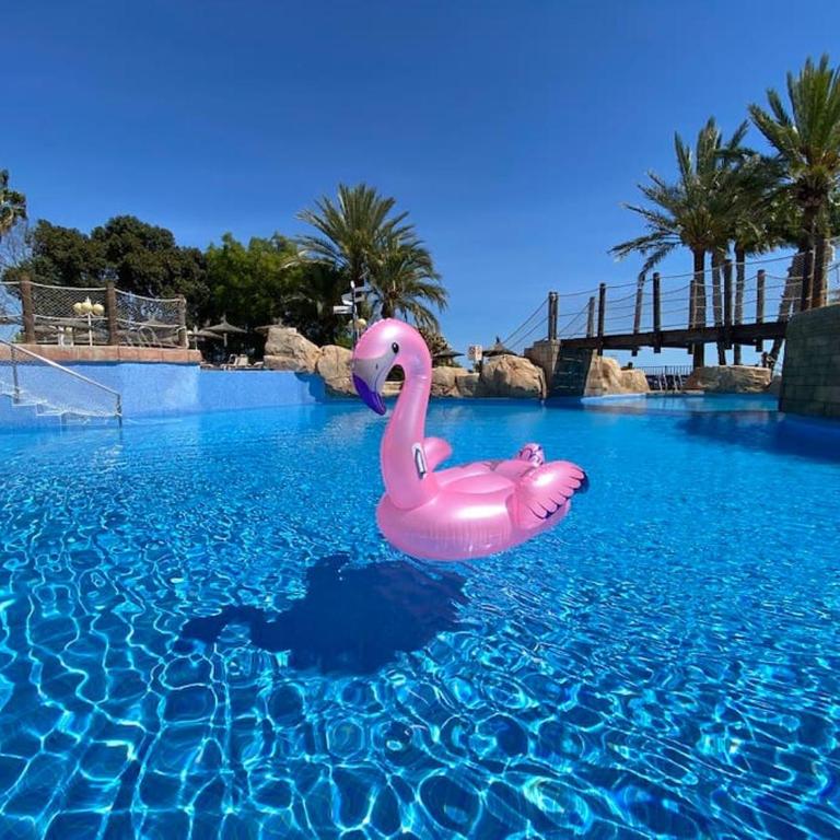 Flamingo Apartment - Imperial Park - Sea View, 6 Pools, Terrace - One-Bedroom Apartment - 13