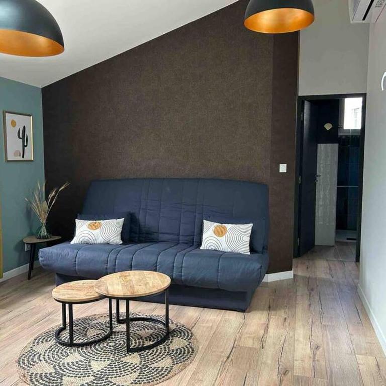 T2 chic, calme proche Hopital - Appartement 1 Chambre - 4