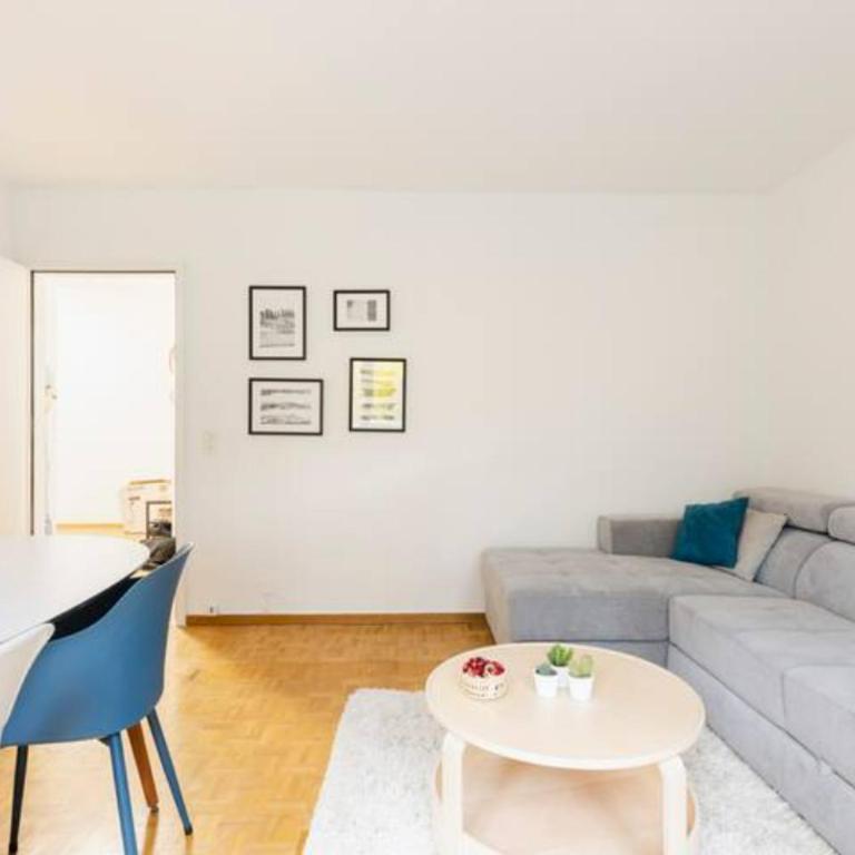 Spacious 52 sqm Cozy Flat - Free Parking - 10 min to Lausanne Old Town - Apartment mit 1 Schlafzimmer - 9