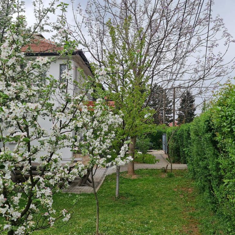 Green Garden Apartment - Deluks Apartman - 3