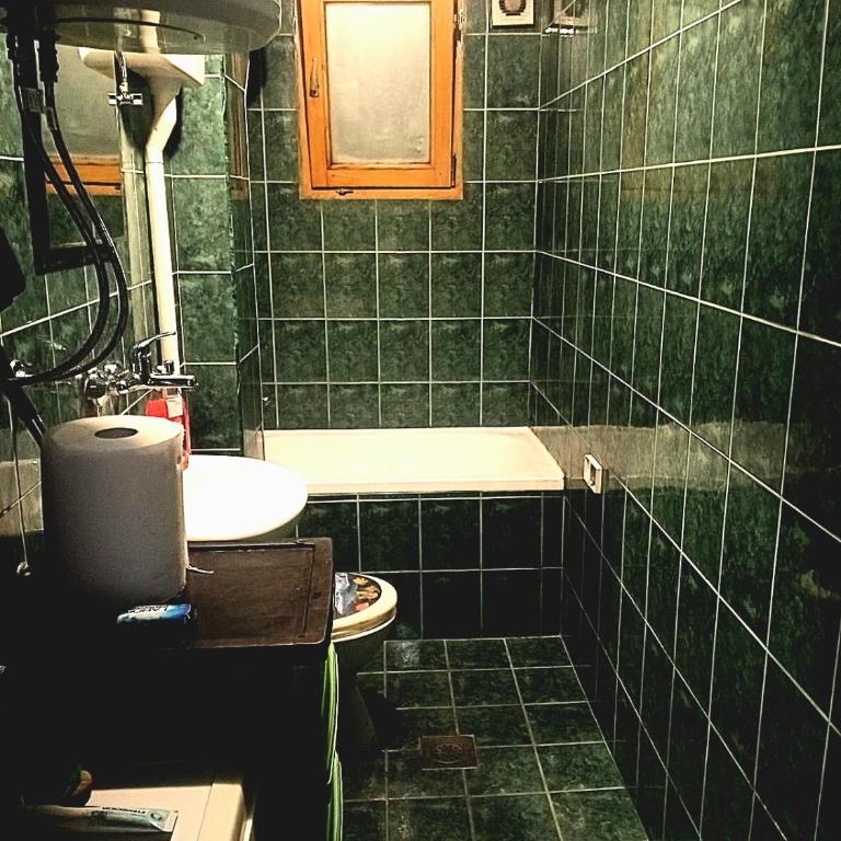 Apartman SRCE STAROG GRADA besplatan parking - Apartman sa 1 Spavaćom Sobom - 11