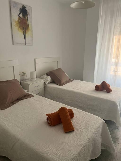 Apartamento Medina Azahara - Apartamento de 3 dormitorios - 5