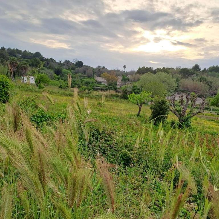 A 20 passi dal mare - Appartamento con 1 Camera da Letto - 28