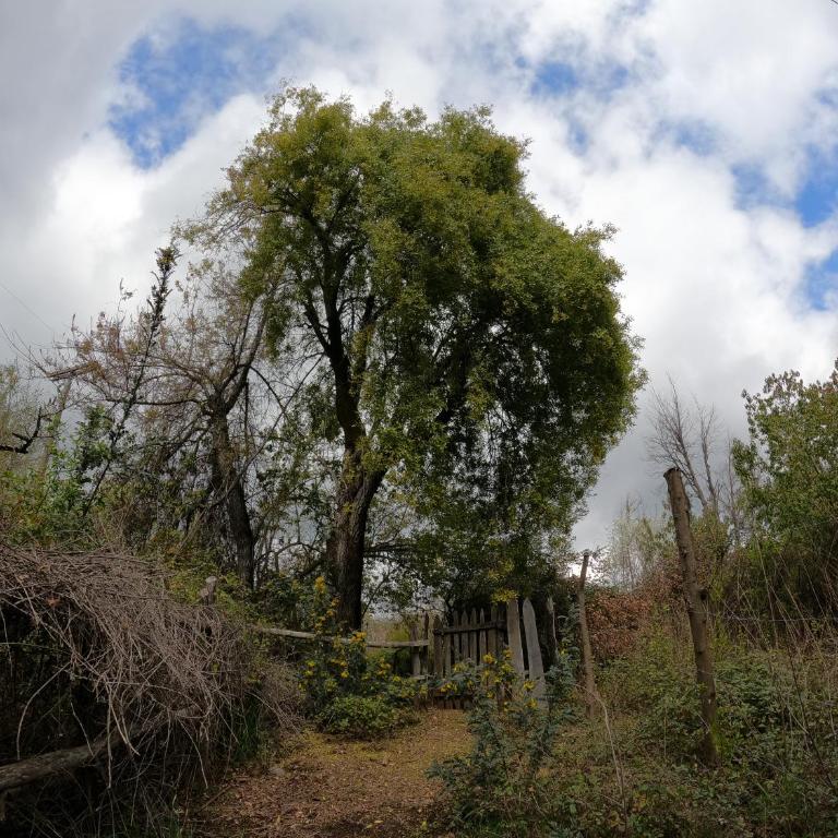 Lircaydomohostal - Domo 40m2 para 4 personas - One-Bedroom Apartment - 19