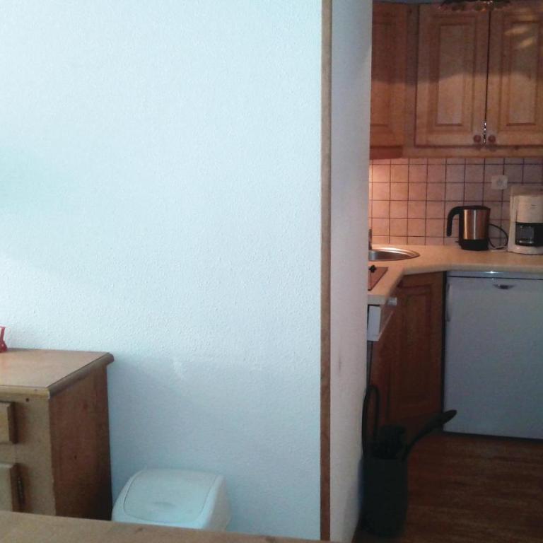 Gorgeous Apartment In Puy St Vincent - Appartement 2 Chambres - 15