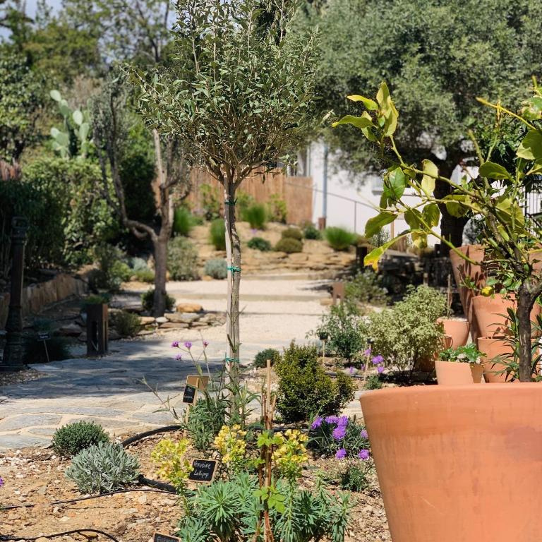 Le Rossignol 3, Aiguebelle plage, Le Lavandou - One-Bedroom Apartment - 24