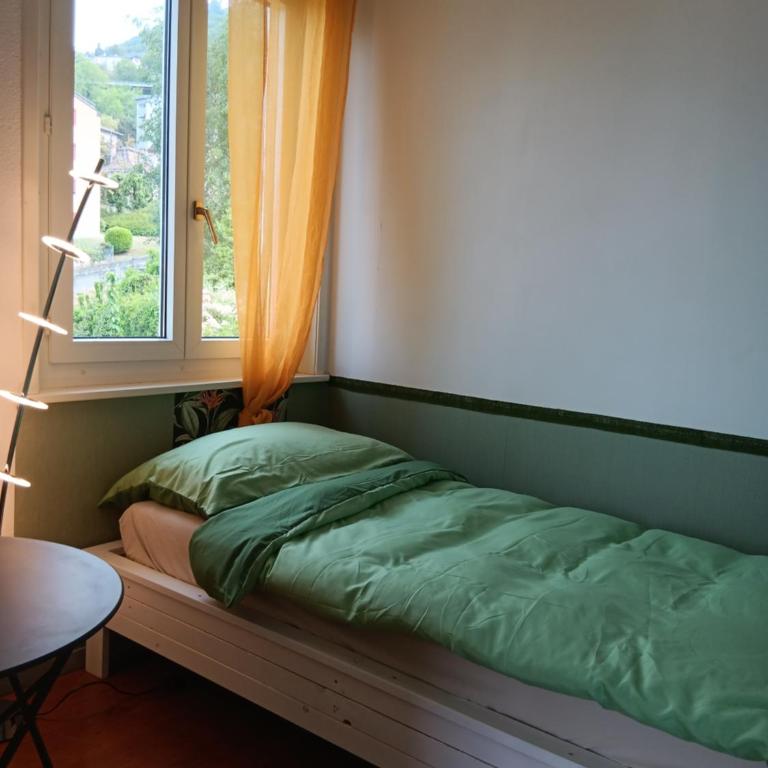 La plus belle vue du lac Léman - Budget Doppelzimmer - 19