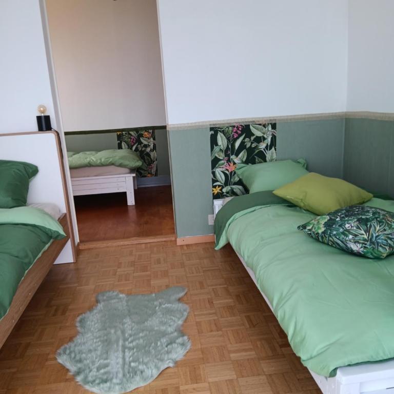 La plus belle vue du lac Léman - Budget Doppelzimmer - 21
