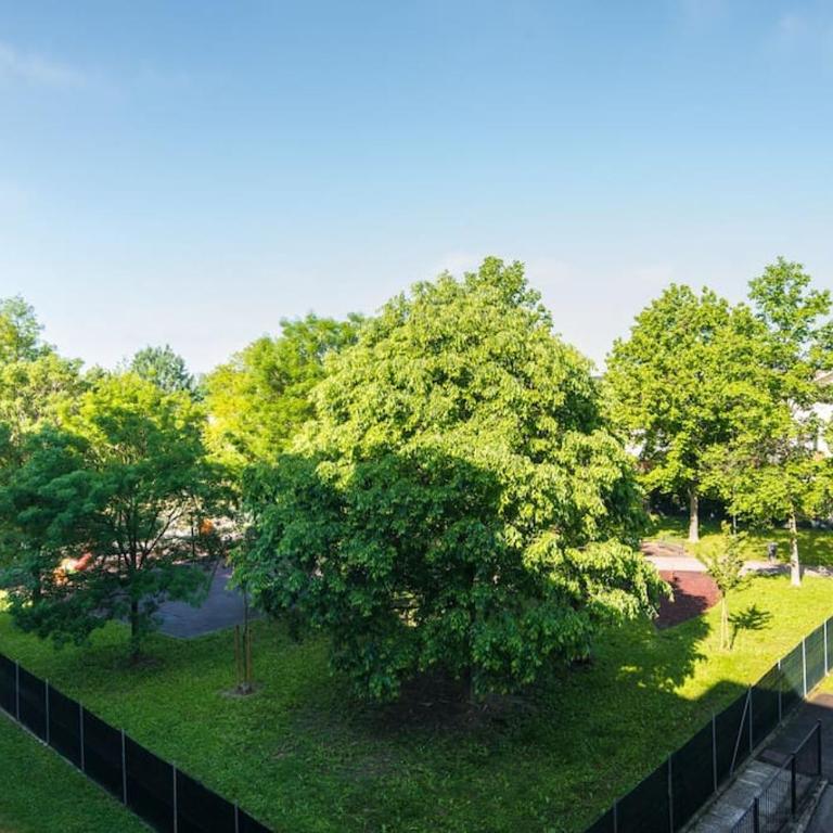 Appartamento ampio, luminoso e immerso nel verde - Appartamento con 2 Camere da Letto - 26