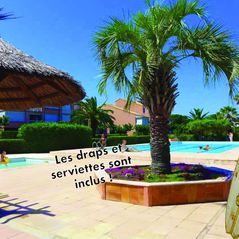 Appt T2 climatisé, climatisation neuve cette année!, Piscine, la Plage à 130m! Parking privé clos, Lave-linge, Lave-vaisselle, Draps, Linge et Ménage inclus! - Appartement 1 Chambre - 1