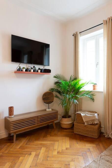 Bohemian Bakoua & Chesterfield Cottage, hyper-centre - Appartement 2 Chambres - 34