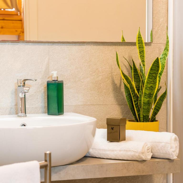 Martini Suite - Twin Room with Private Bathroom - 3