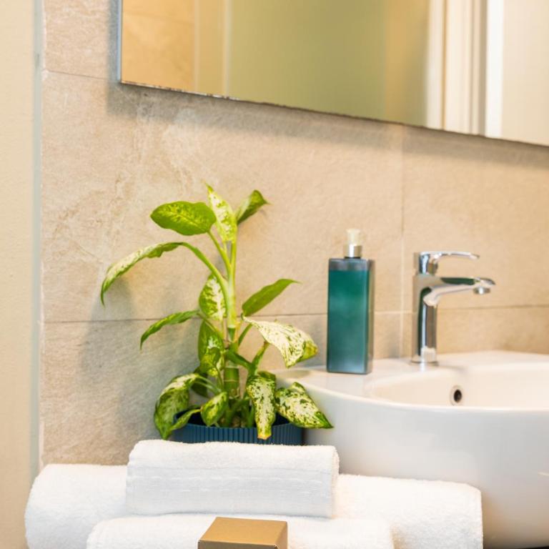Martini Suite - Twin Room with Private External Bathroom - 3
