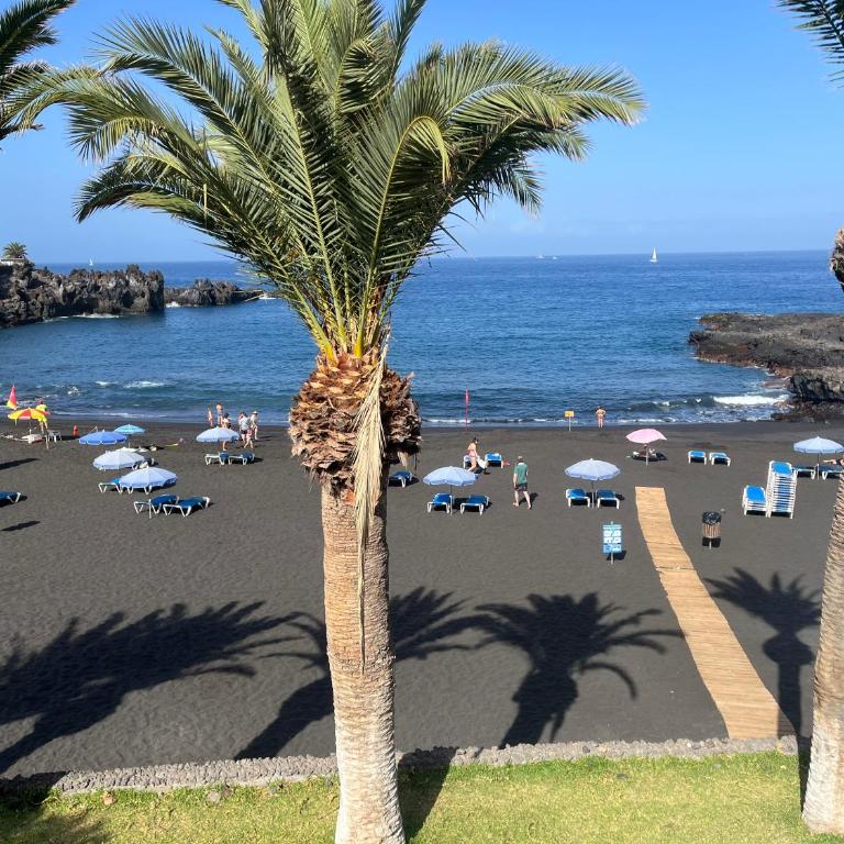 Céntrico apartamento primera linea del mar - Apartamento de 1 dormitorio - 34