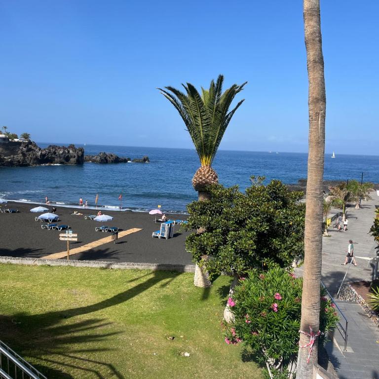 Céntrico apartamento primera linea del mar - Apartamento de 1 dormitorio - 36