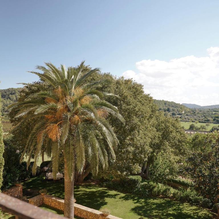 Son Brull Hotel & Spa - Relais & Chateaux - Suite Junior - 6