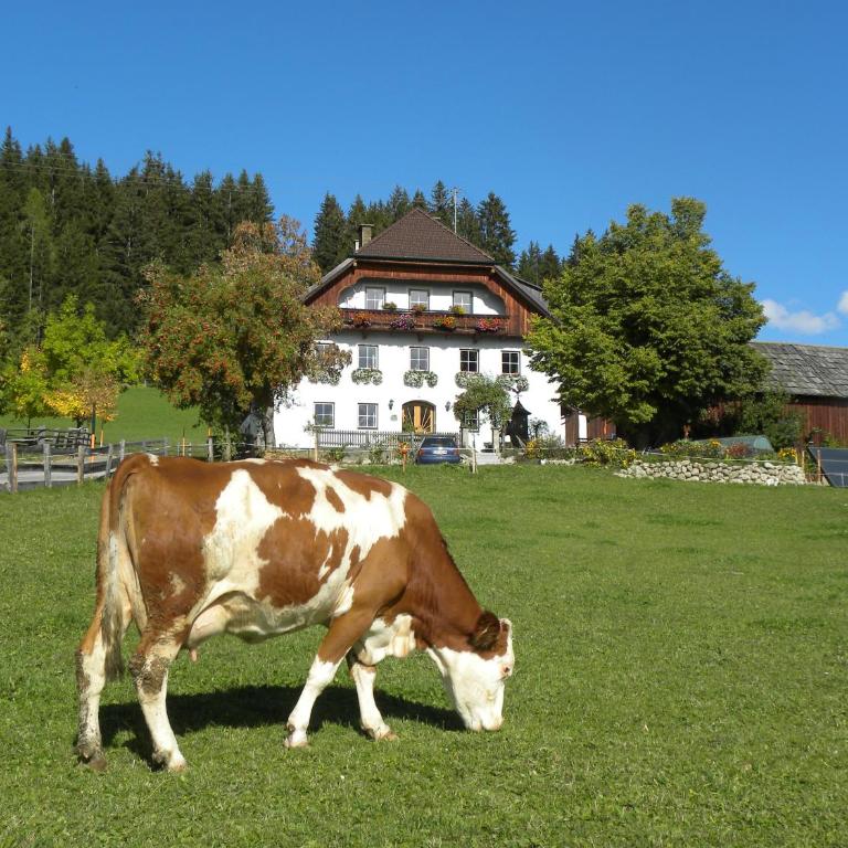 Polzhof - Apartment mit 3 Schlafzimmern - 1