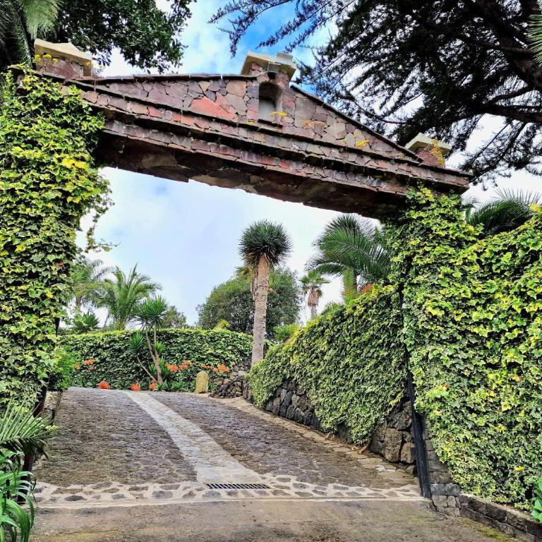 Finca Los Loros Icod de los Vinos - Villa de 2 dormitorios - 41