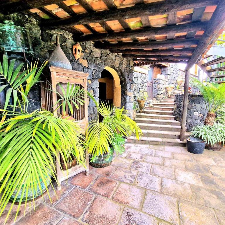Finca Los Loros Icod de los Vinos - Villa de 2 dormitorios - 3