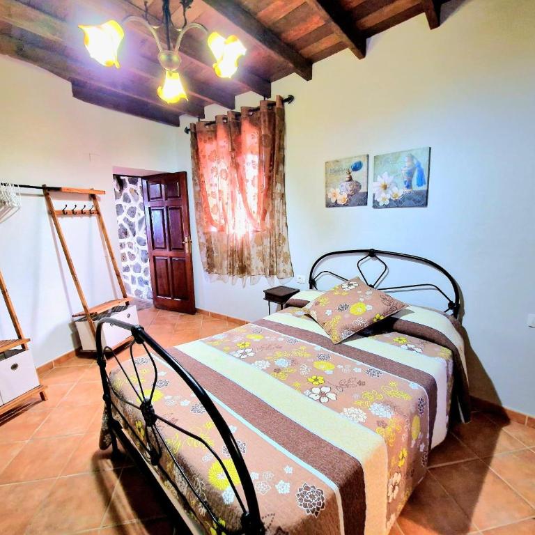 Finca Los Loros Icod de los Vinos - Villa de 2 dormitorios - 19