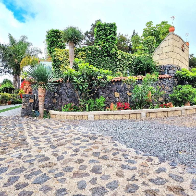 Finca Los Loros Icod de los Vinos - Villa de 2 dormitorios - 38