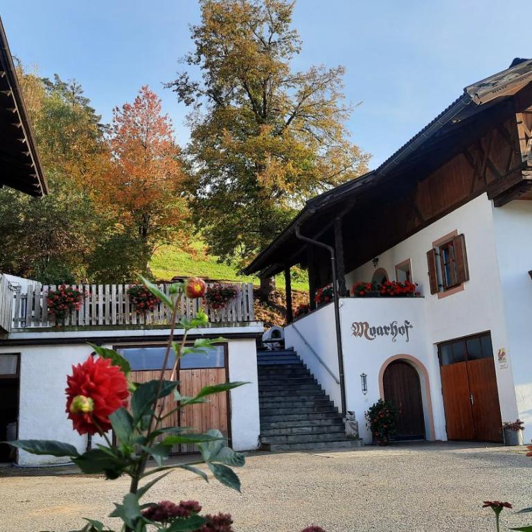 Moarhof Gufidaun - Appartamento con 2 Camere da Letto - 6