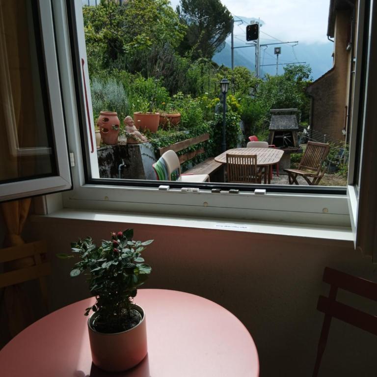La plus belle vue du lac Léman - Doppelzimmer mit Gartenblick - 9