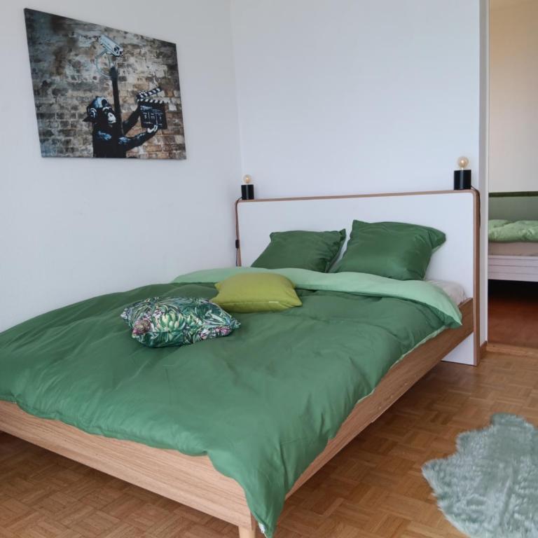 La plus belle vue du lac Léman - Budget Doppelzimmer - 22
