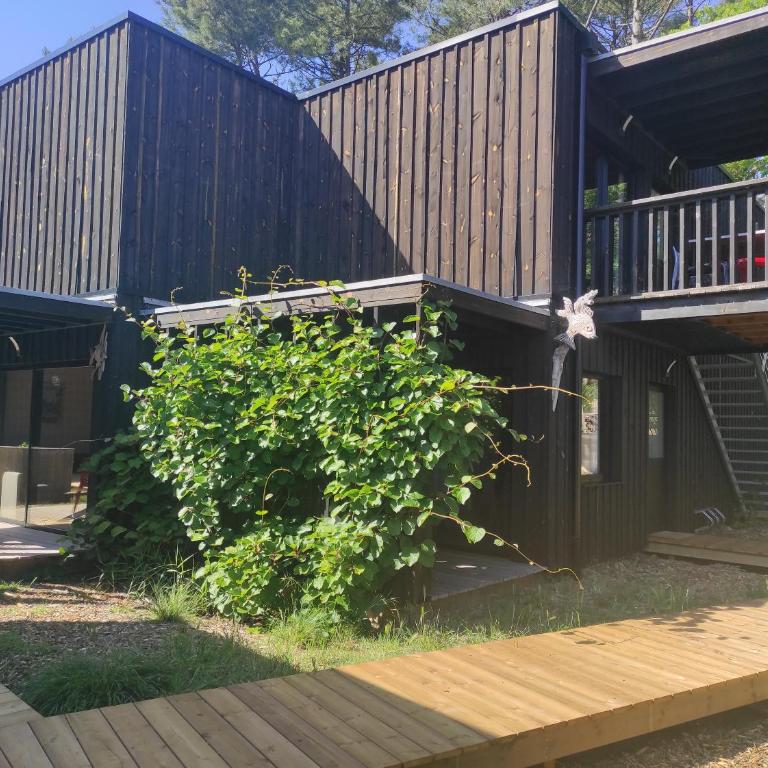 Eco-lodges Lacanau Moutchic Inn - 4 pers - Apartment with Terrace - 12