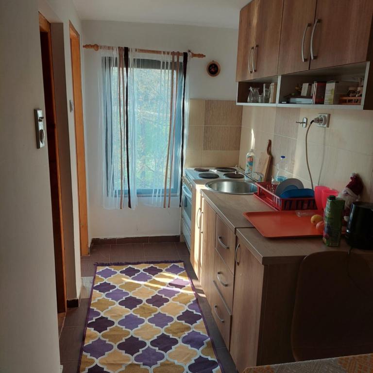 Nešić apartmani, Gornji Gajevi - One-Bedroom Apartment - 6