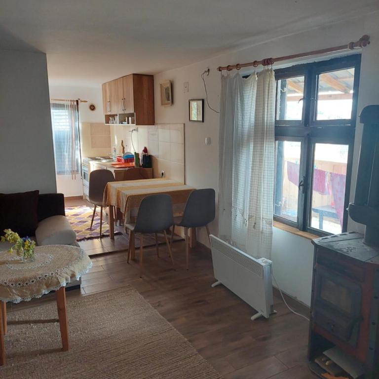 Nešić apartmani, Gornji Gajevi - One-Bedroom Apartment - 3
