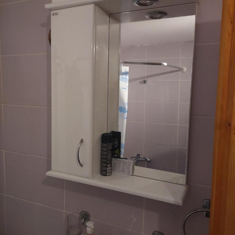 Nešić apartmani, Gornji Gajevi - One-Bedroom Apartment - 8