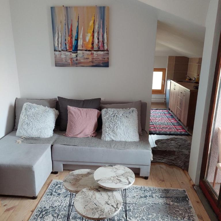 Nešić apartmani, Gornji Gajevi - One-Bedroom Apartment - 3