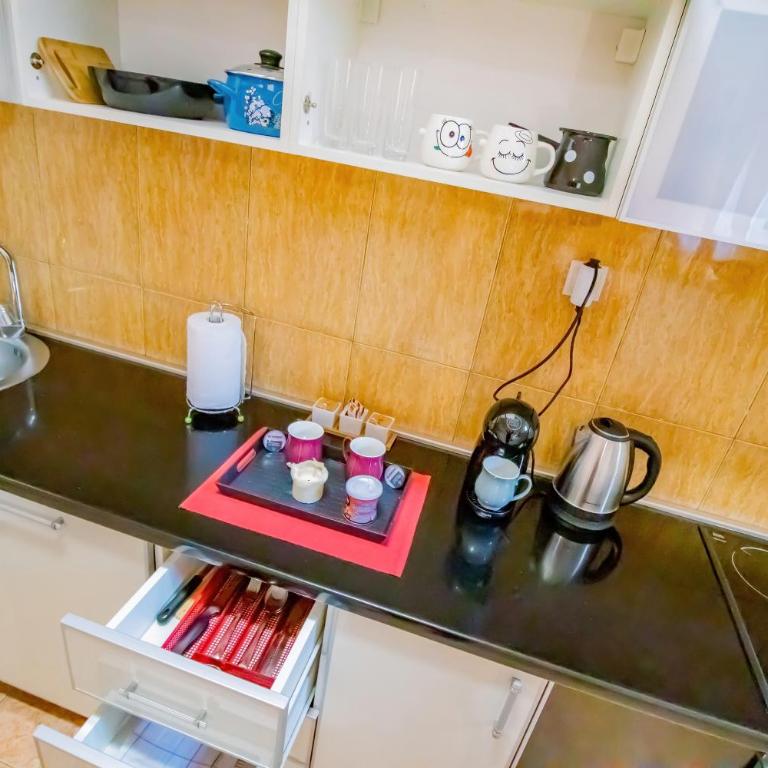 Simo apartments airport Podgorica - Superior Apartment - 18