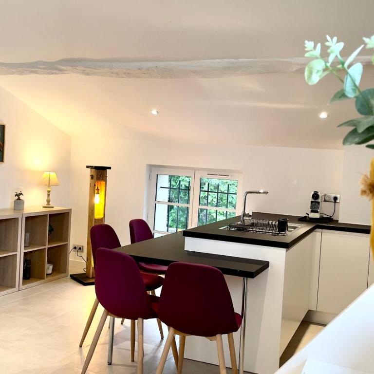DUPLEX - VALBONNE VILLAGE - Appartement 1 Chambre - 1