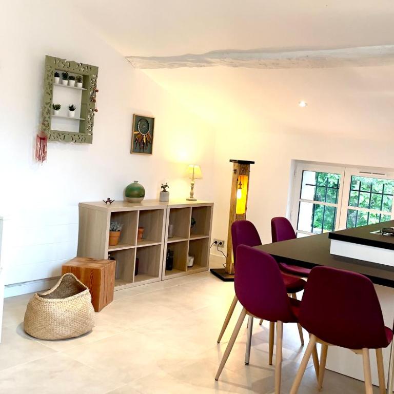 DUPLEX - VALBONNE VILLAGE - Appartement 1 Chambre - 11