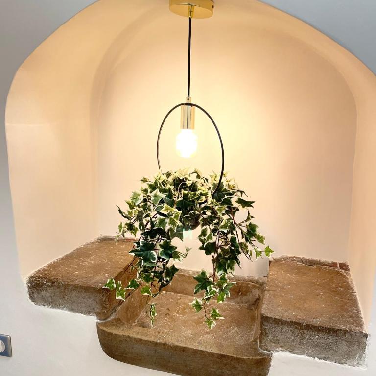 DUPLEX - VALBONNE VILLAGE - Appartement 1 Chambre - 26