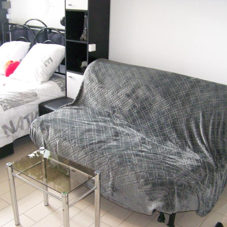 Charmant STUDIO au Calme Tout Confort Dans Château Néo Gothique proche ZENITH COMET ORLEANS Parking Voiture Gratuit WIFI Haut Débit Rue des Montées - Estudio Superior - 8