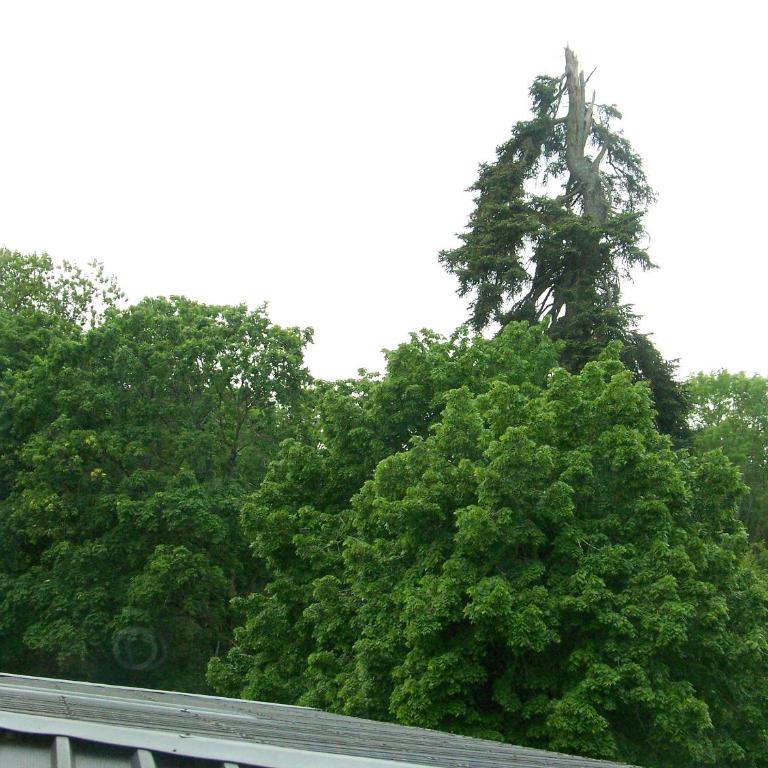 Charmant STUDIO au Calme Tout Confort Dans Château Néo Gothique proche ZENITH COMET ORLEANS Parking Voiture Gratuit WIFI Haut Débit Rue des Montées - Estudio Superior - 39