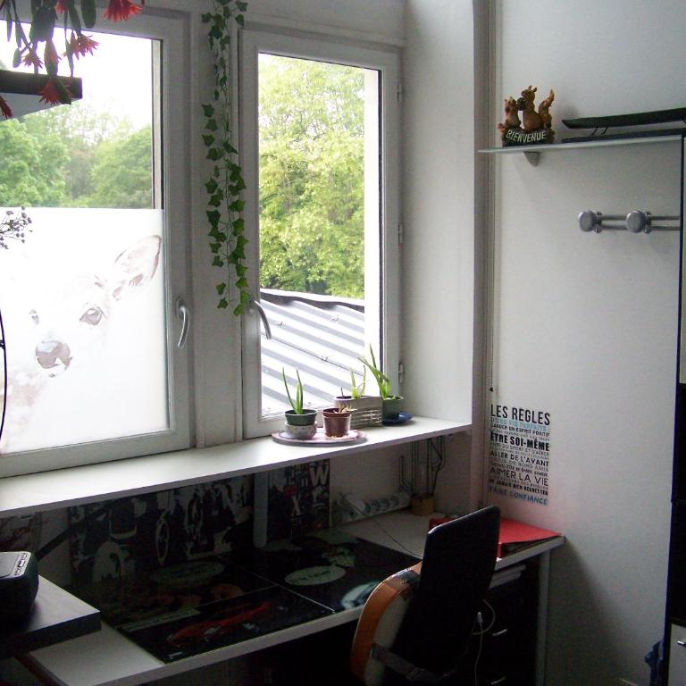 Charmant STUDIO au Calme Tout Confort Dans Château Néo Gothique proche ZENITH COMET ORLEANS Parking Voiture Gratuit WIFI Haut Débit Rue des Montées - Estudio Superior - 27