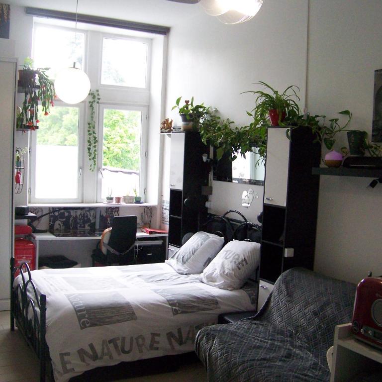 Charmant STUDIO au Calme Tout Confort Dans Château Néo Gothique proche ZENITH COMET ORLEANS Parking Voiture Gratuit WIFI Haut Débit Rue des Montées - Estudio Superior - 4